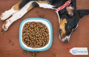 Köpek Maması Fiyatları img