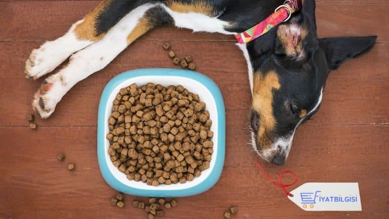 Köpek Maması Fiyatları